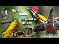 Download Lagu Masteran Konin Materi Full Tembakan DI JAMIN PASTI JOS
