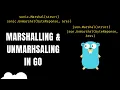 Go Efficient Marshalling Unmarshalling SONIC JSON