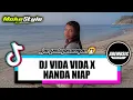 Download Lagu DJ VIDA VIDA - ( NANDA NIAP X ADHY BOIMAU ) REMIX