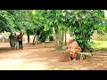 Download Lagu You Will Cry While Watching This Amazing Village Movie But Smile At The End-African Movies