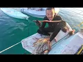 FULL  Sailboat  Tour  [Affordable 38ft Self Sufficient Reliable Ocean Sailing Monohull 2025]