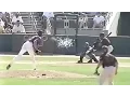 Hall Of Famer Randy Johnson Kills Bird In Game