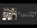 Lenny Kaye  - Goin' Local (Lyric Video)