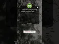 Download Lagu Berteman dengan orang bodoh