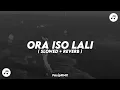 DJ ORA ISO LALI KOPLO REMIX ( SLOWED + REVERB )🎶🎧