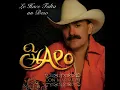 Le Hace Falta Un Beso - El Chapo De Sinaloa
