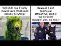 Funny Animal Memes That Prove Pets Are The Ultimate Comedians