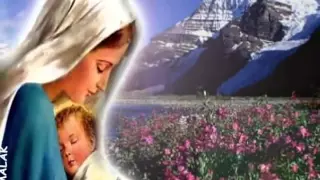 ي ا ام ال وداع ة      لل م رن م ب ول س م لاك دندنها