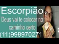 Lagu ESCORPIÃO ♏️ 18/11/2025 - UMA REVELAÇÃO VAI TE CHOCAR!