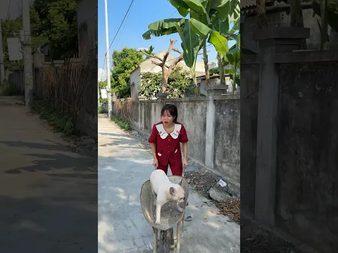 OWNER DUMPS INJURED DOG AT A TRASH DUMP… Then a Kind Girl Saves His Life! 😭 #lovedogs #pets #dogs