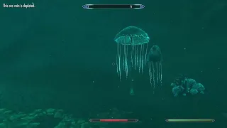 Crimson Nirnroot Locations Skyrim AE