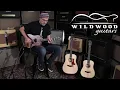 Taylor Guitars Baby Taylor Series Wildwood Guitars