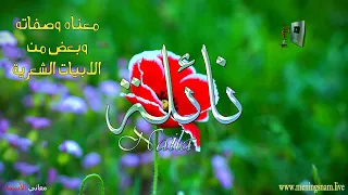 معنى اسم  نائلة وصفات حاملة هذا الاسم على قناة معاني الاسماء        دندنها