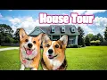 Hammy and Olivia Bought a House and Take a Tour
