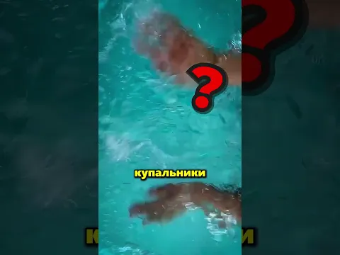 Никогда Не Выбирай Купальник Неподходящего Цвета 😱