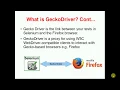 How to Use Gecko Marionette Driver in Selenium 3 Automation Testing Interview