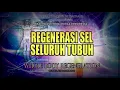 🎧 REGENERASI SEL SELURUH TUBUH 528 Hz Binaural \u0026 Isochronic Untuk Kesehatan Sempurna | Brainwave PBS