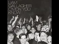 Download Lagu Liam Gallagher- Don't go Halfway