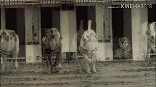 اجدع معلم يموت ولسا ما اتعلم ولما راحت فلوس المعلم 