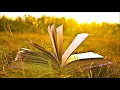 Reading Music to Concentrate | Study Music | Relaxing Music for Studying | Concentration Music Work