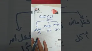 انواع الفعل ثلاثة ماضي مضارع امر 