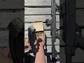 Download Lagu SBI ST-22: The AR-15 and Ruger 10/22 lovechild #shorts #22lr #fypシ #asmr