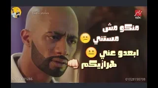 حالات واتس مهرجانات   حسن شاكوش   مهرجان انا لما بغيب مبغبش اونطه    دندنها