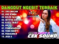 ORGEN TUNGGAL DANGDUT PALING NGEBIT CEK SOUND UNTUK ACARA HAJATAN COVER ORGEN ELECTONE Part.29