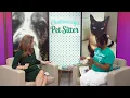 3 Plus Your Pets - Chattanooga Pet Sitter