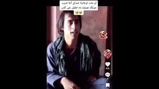 سید غفار آغا در زمان قدیم که تازه لرکی گک شده بود 
