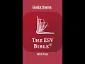 The ESV Bible Galatians Chapter 4