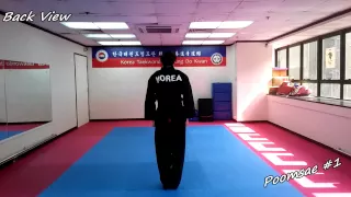 taekwondo poomsae 1 il jang slow motion u0026 mirror