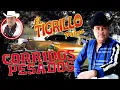 Lagu El Tigrillo Palma 💥 Mix De Exitos 💥 Corridos Perrones Mix