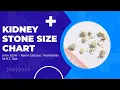 Kidney Stone Size Chart mm Cm Renal Calculus Treatments W R T Size