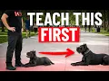 The First 5 Things Every Puppy Must Learn