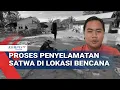 Lagu Aksi Heroik Relawan Selamatkan Ratusan Satwa Terdampak Banjir \u0026 Longsor Sumatera