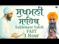 Lagu ਤੇਜ ਗਤੀ- ਸੁਖਮਨੀ ਸਾਹਿਬ || सुखमनी साहिब Sukhmani Sahib || Bhai Harcharan Singh Khalsa Hazoori Ragi