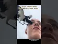 Always Protect Your Eyes From These Birds