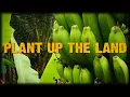 Plant Up The Land (Official Music Video)