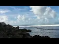 Download Lagu Relaksasi Suara Ombak Pantai Berkarang Dengan Suara Burung Camar