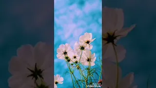 أذان صلاة الجمعة 12 ربيع الثاني 1442هــ للمؤذن عبدالخالق داحش آل مسعود 