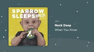 Download Neck Deep - When You Know (Lullaby rendition by Sparrow Sleeps) MP3