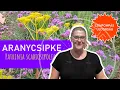 Download Lagu Aranycsipke  - NÖVÉNYBEMUTATÓ – Színpompás Szárazságtűrő