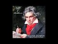 Walter Murphy - A Fifth of Beethoven (Flight Facilities Edit)