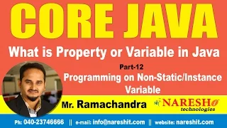 What is Property or Variable in Java Part 12 Core Java Tutorial Mr Ramachandra