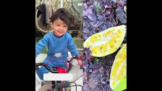 Good Learn To Drive A Bike Majodi Funny Jody NetIraq 