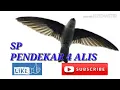 Download Lagu Suara panggil walet respon terbaik daerah pegunungan PENDEKAR 4 ALIS