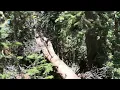 CT 2026 Day 7 - I m a CDT Hiker
