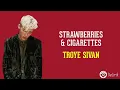 Strawberries & Cigarettes - Troye Sivan (Lirik Lagu Terjemahan)