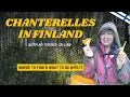 Finland Lets Anyone Forage Even on Private Land